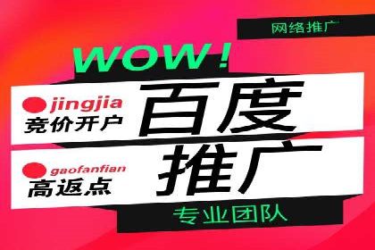 百度竞价排名案例揭秘：广告创意的重要性